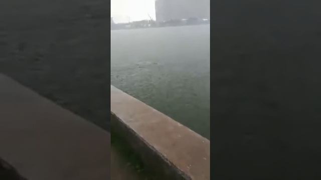 Астраханская рыбалка в центре города. Набережная Приволжского Затона. смотреть онлайн