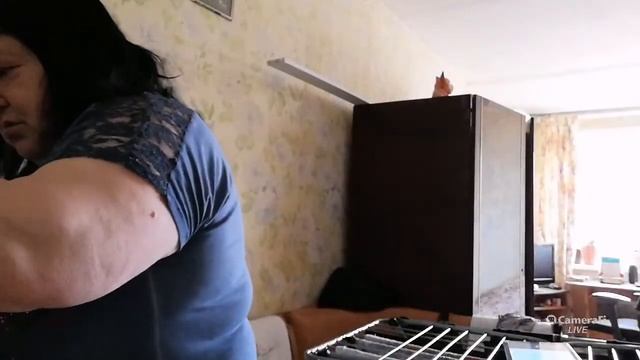 дали ДЗЕН манитезацию.как что такое бот.куда сувать бот смотреть онлайн