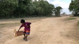 ловушка для птиц своими руками