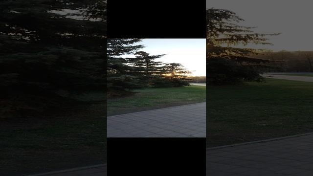 Парк Алое Поле
Челябинск смотреть онлайн