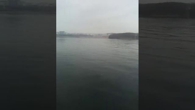 Кит минке в б.Аякс 27.04.2014 смотреть онлайн