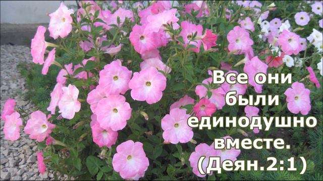 Хорошо, когда вместе в общенье. Лучшие христианские песни. смотреть онлайн