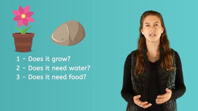Living and Nonliving Things - Science for Kids! смотреть онлайн