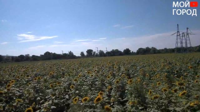 Сопка Героев- достопримечательность Крымского района Краснодарского края смотреть онлайн