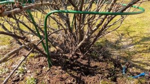 Весенние работы в саду и огороде ПОШАГОВО | Открываем новый дачный сезон | Весенние работы на даче