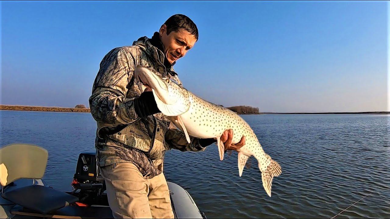 Всё начиналось, как обычно, но потом понеслось. Рыбалка смотреть онлайн