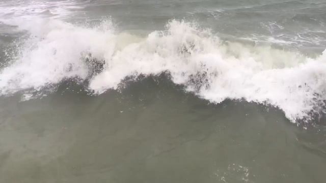 Сочинский Дед Мороз отпраздновал День Рождения заплывом в море смотреть онлайн