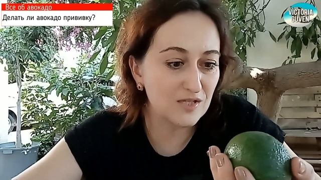 ВСЕ ОБ АВОКАДО. КАК ВЫРАСТИТЬ, КАК ВЫБИРАТЬ, КАК ХРАНИТЬ смотреть онлайн