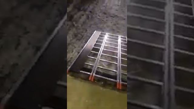 Cходни для снегохода смотреть онлайн