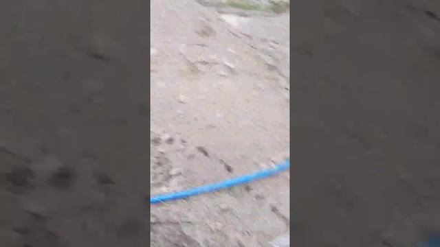 #6 До трамбовка щебня поливаем водой смотреть онлайн