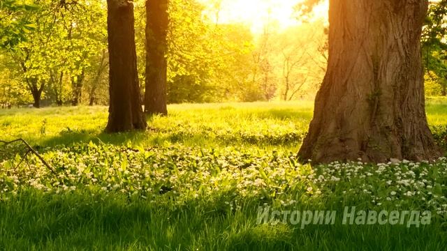 Устроившись домработницей, Люба увидела фото. А когда она… смотреть онлайн