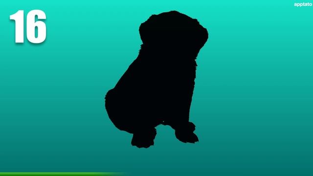 Guess The Animal Quiz #1 | Can You Guess The Animals Shadow | Animal Quiz Guessing Game