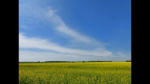 "Игра в слова"  А. БАРТО