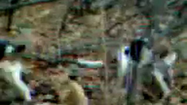 первая лиса охота с гончими смотреть онлайн