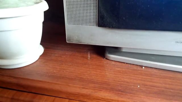 телевизор притягивает пыль) смотреть онлайн