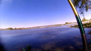 Рыбалка на карася в деревне Енгалышево