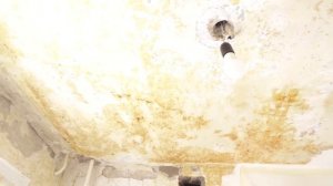 АДСКИЙ РЕМОНТ чищу СТЕНЫ и ПОТОЛОК от обоев клея КАК ИЗБАВИТЬСЯ от ПЛЕСЕНИ нервы на пределе