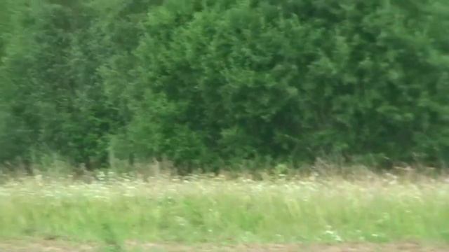 EQUINOX 800 НА ВЫБИТОМ ПОЛЕ. СЕРЕБРО, ЦАРИ. смотреть онлайн