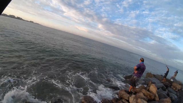 Скумбрия, Рыбалка, Как Поймать Скумбрию, Скумбрия, Мексиканский Залив! смотреть онлайн