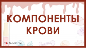 Компоненты крови - из чего состоит кровь？ Эритроциты, лейкоциты, плазма и др
