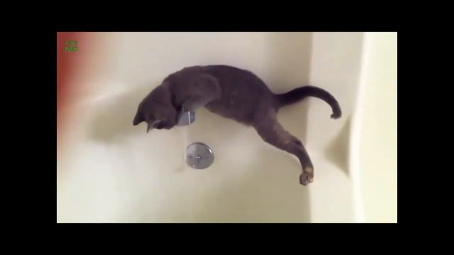 Лодка из пластилина/Испытание. смотреть онлайн