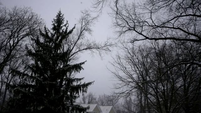 1 Amazing Scary Christmas Love Story + 3 Evil Santa Horror Stories смотреть онлайн