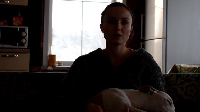 Чем мы кормим своих лошадей смотреть онлайн