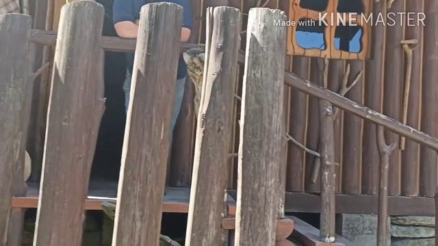 карпаты верховина Музей гуцульской магии.Поездка в Карпаты 7 часть 