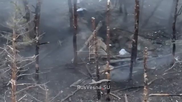 Бойня у Синьковки: бойцы ЗВО уничтожили целое подразделение ВСУ в окопах