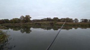 ЛОВЛЯ ЩУКИ НА ЖИВЦА  ПРОСТАЯ СНАСТЬ, КОТОРАЯ ЛОВИТ