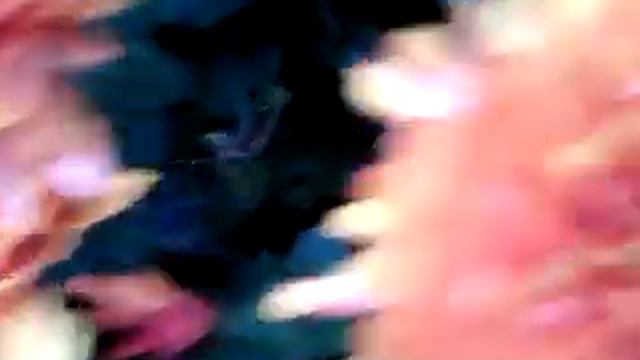 Хризантемы смотреть онлайн