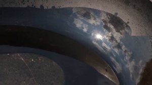 Свинина с грибами