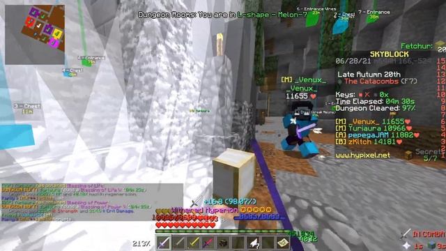 The BEST Mods in Hypixel Skyblock (Secrets & More!) смотреть онлайн