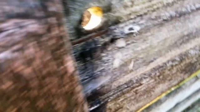 GOING TO A SHUT DOWN GARDEN **GHOSTS AND DISAPEARING ITEMS** смотреть онлайн