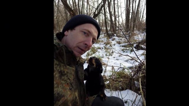 Зима в Шуляках 1. Слайдшоу. Фотографії зимової природи. "Пасіка діда Євгена". смотреть онлайн