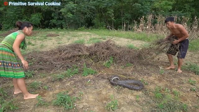 Primitive Life: Daily Life Find Food Meet Giant Anaconda Python - Skills Catch Big Snake To Surviva смотреть онлайн