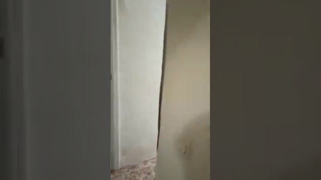 Аренда квартиры Крымский тупик, 6 смотреть онлайн