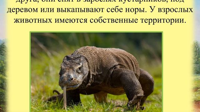 Зоологические сенсации. Утконос и компания. смотреть онлайн