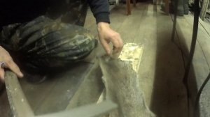 как приклеить камус на лыжи. 20.11.21 г.