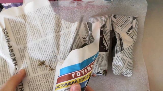 ? РАСПАКОВКА ОРХИДЕЙ ?ПОЛНАЯ ПОСЫЛОЧКА БАБОЧЕК-МАЛЫШЕК 1,7 ???? смотреть онлайн