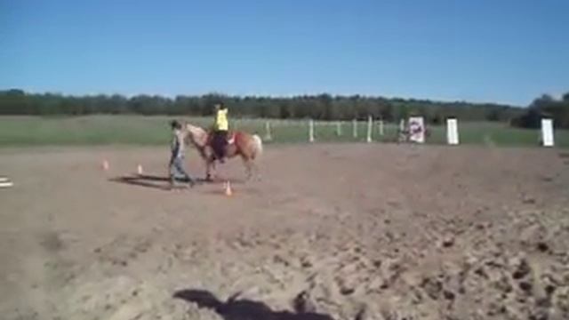 Дашечка на кватерхорсе смотреть онлайн