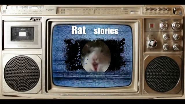 Rat Stories смотреть онлайн