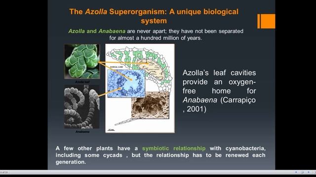 12th Tuesday Lecture