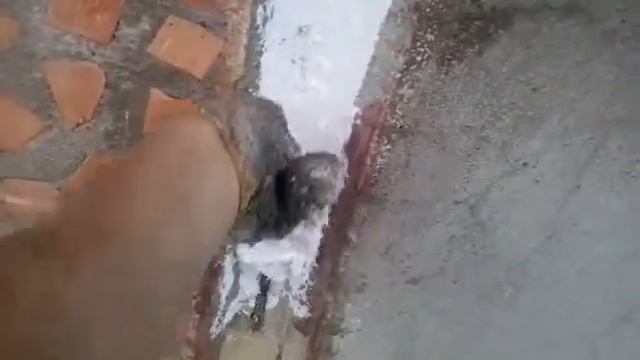 Грунтовка и НАКИДЫВАНИЕ мастики смотреть онлайн