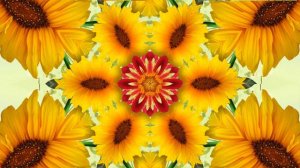 Футаж калейдоскоп подсолнух