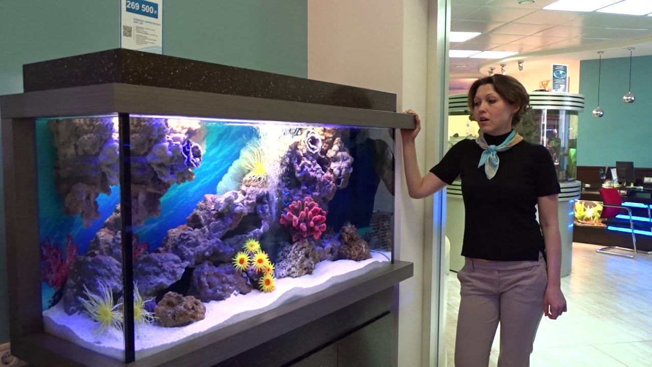 Аквариум прямоугольный АПР-330 смотреть онлайн