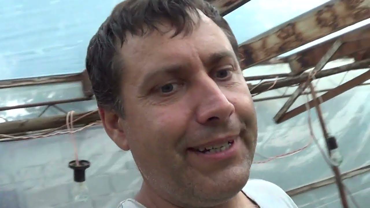 СПАСАЕМ ОГУРЦЫ / КАКАЯ-ТО ПАКОСТЬ / ЗАМАРИНОВАЛИ ОГУРЦЫ смотреть онлайн