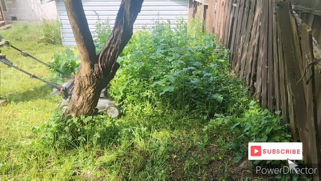 NIGHTMARE YARD(2ND), FREE TRANSFORMATION PART 2 #lawncare #lawnmowing #grasscutting #mowing #lawn