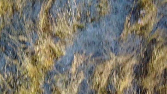 Елабуга. Татарстан. Мавик смотреть онлайн