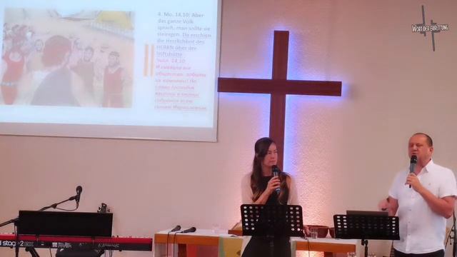 Уроки «собачей» жизни/ Lehren aus dem “Hundeleben” - 23.08.2020 смотреть онлайн